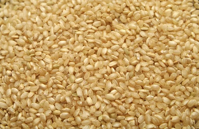 Gerahmter Druck : Reisrundkorn Gerahmter Druck : Reisrundkorn