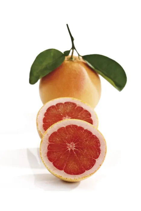 Gerahmter Druck : Rubinrote Grapefruit Gerahmter Druck : Rubinrote Grapefruit