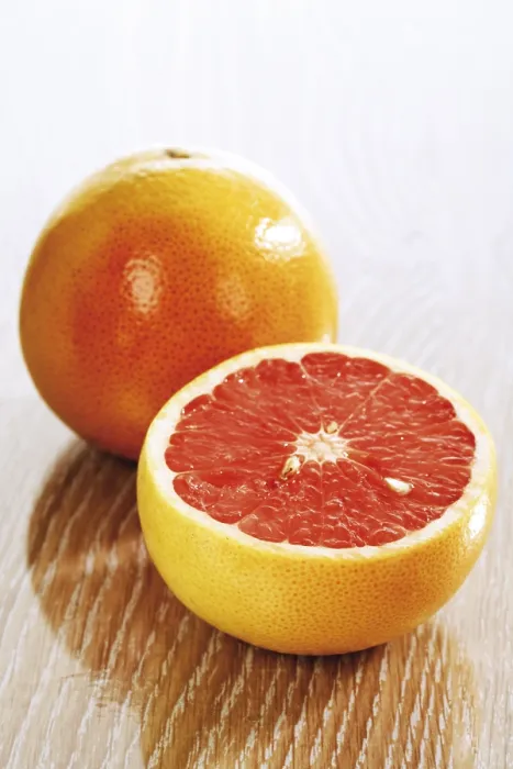 Gerahmter Druck : Rubinroter Grapefrucht (Citrus) Gerahmter Druck : Rubinroter Grapefrucht (Citrus)