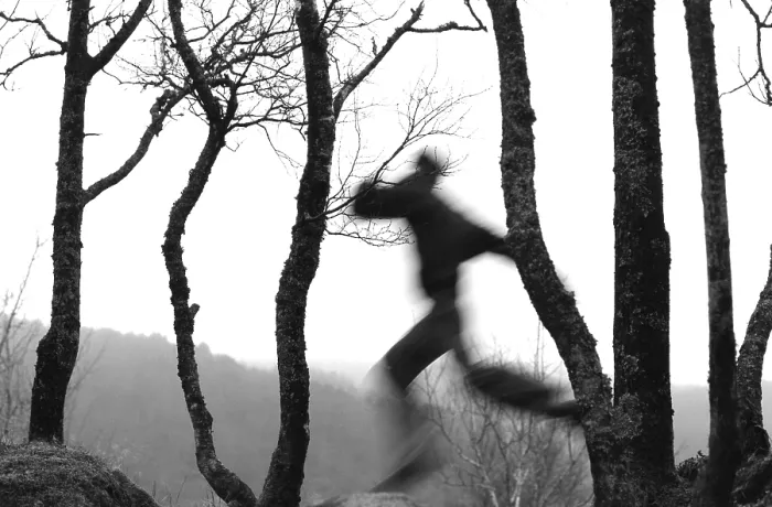 Gerahmter Druck : Laufend im Wald. Gerahmter Druck : Laufend im Wald.