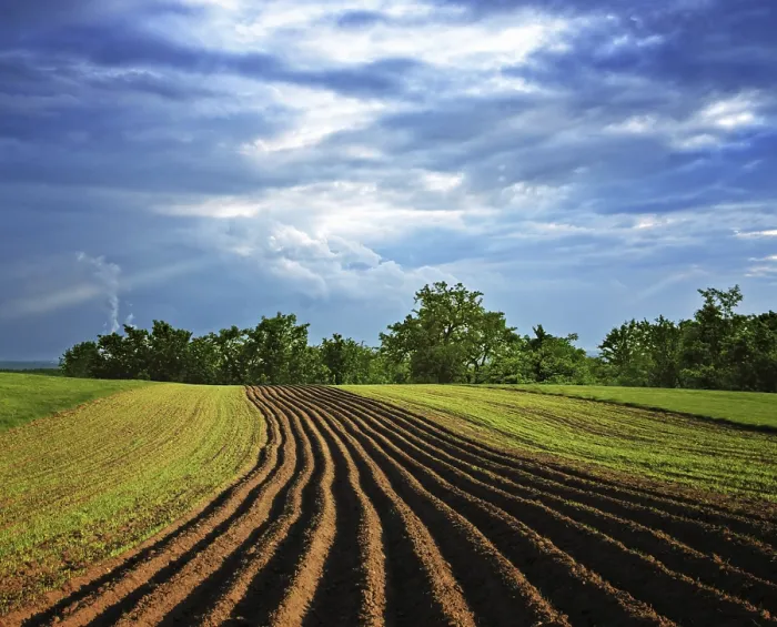 Gerahmter Druck : Ländliches Landschaftsbild Gerahmter Druck : Ländliches Landschaftsbild