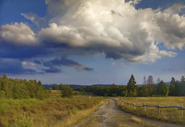 Gerahmter Druck : Ländlicher Pfad durch ein grasiges Landschaft. Gerahmter Druck : Ländlicher Pfad durch ein grasiges Landschaft.