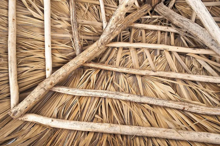 Gerahmter Druck : Rustikale Dachkonstruktion, Detail eines Strandhütten.