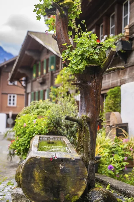 Gerahmter Druck : Idyllische Szene mit einem Baumstamm, der als Brunnen dient. Gerahmter Druck : Idyllische Szene mit einem Baumstamm, der als Brunnen dient.