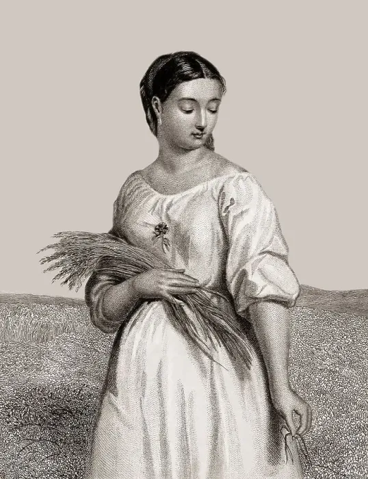 Gerahmter Druck : Ruth, Buch der Rücksichtnahme Gerahmter Druck : Ruth, Buch der Rücksichtnahme