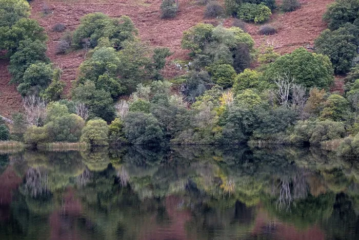 Gerahmter Druck : Rydal Water, Reflexion, Grasmere