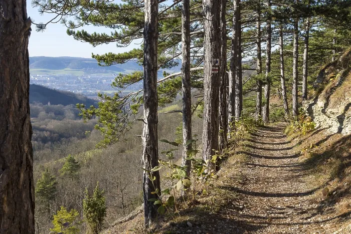 Gerahmter Druck : Saale-Horizontale Panorama Trail Gerahmter Druck : Saale-Horizontale Panorama Trail