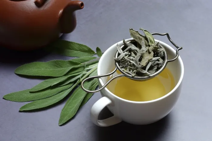Gerahmter Druck : Sage-Tee in Tasse mit Teezusatzfilter. Gerahmter Druck : Sage-Tee in Tasse mit Teezusatzfilter.