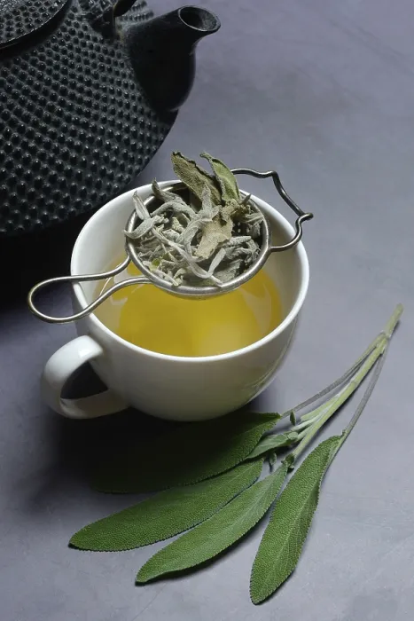 Gerahmter Druck : Sage-Tee in Tasse mit Tee-Strainer. Gerahmter Druck : Sage-Tee in Tasse mit Tee-Strainer.