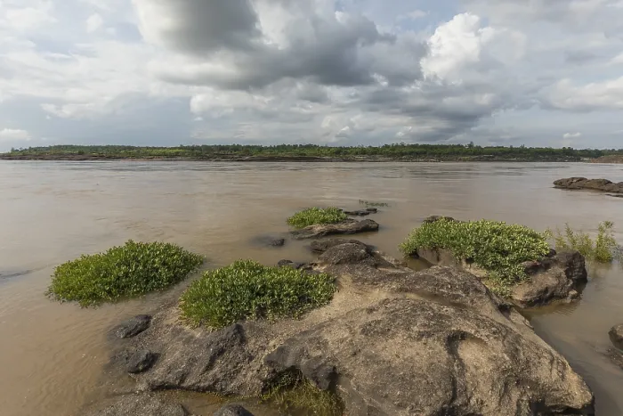 Gerahmter Druck : Sam Phan Bok am Mekong. Gerahmter Druck : Sam Phan Bok am Mekong.