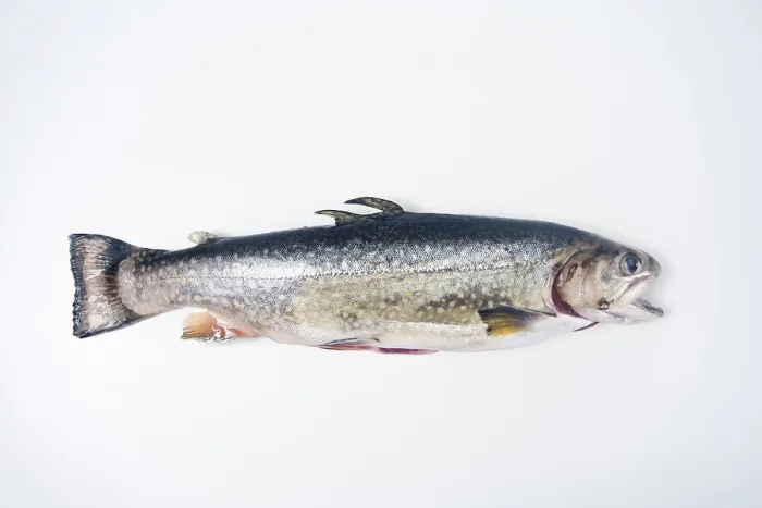 Gerahmter Druck : Vorgeröstet, zum Kochen bereit. Gerahmter Druck : Vorgeröstet, zum Kochen bereit.