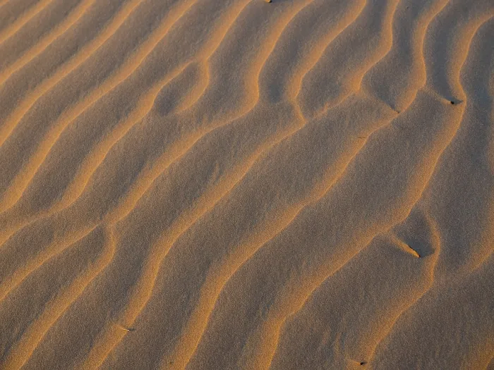 Gerahmter Druck : Dünen aus Sand, Abendlicht, Muster. Gerahmter Druck : Dünen aus Sand, Abendlicht, Muster.