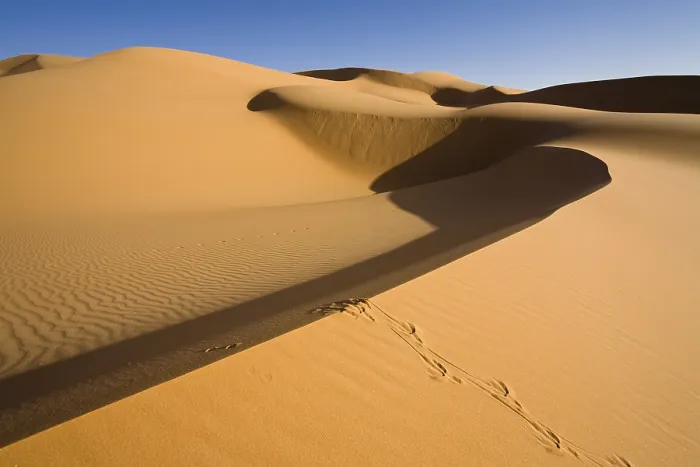 Gerahmter Druck : Sanddünen in der libyschen Wüste. Gerahmter Druck : Sanddünen in der libyschen Wüste.