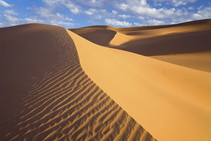 Gerahmter Druck : Dünen im Libyschen Wüstengebiet. Gerahmter Druck : Dünen im Libyschen Wüstengebiet.