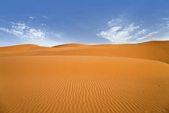 Gerahmter Druck : Sanddünen in der libyschen Wüste. Gerahmter Druck : Sanddünen in der libyschen Wüste.