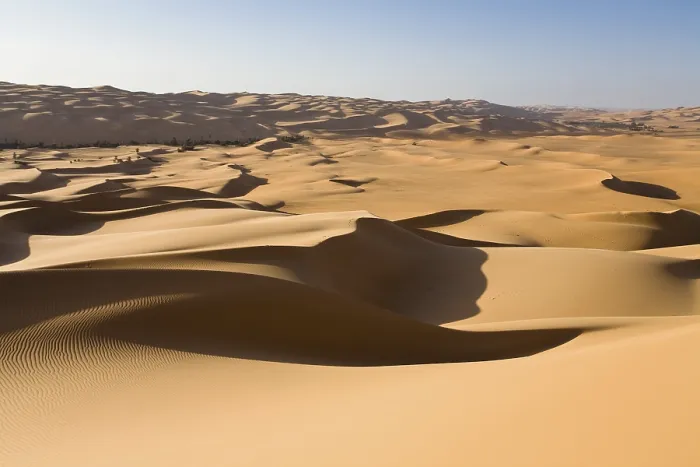 Gerahmter Druck : Dünen im Libyschen Wüstengebiet. Gerahmter Druck : Dünen im Libyschen Wüstengebiet.