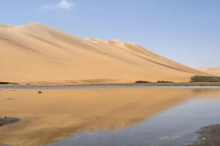 Gerahmter Druck : Dünen werden im Wasser gespiegelt. Gerahmter Druck : Dünen werden im Wasser gespiegelt.