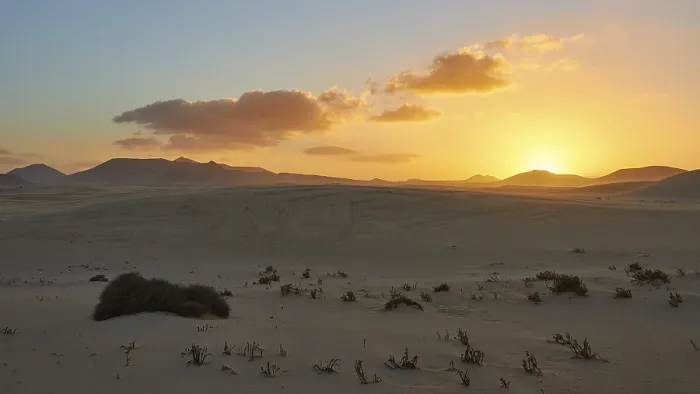 Gerahmter Druck : Dünen, spärliche Vegetation, Abendlicht. Gerahmter Druck : Dünen, spärliche Vegetation, Abendlicht.