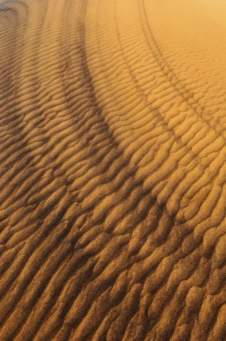 Gerahmter Druck : Sandmuster auf der Oberfläche einer Düne. Gerahmter Druck : Sandmuster auf der Oberfläche einer Düne.