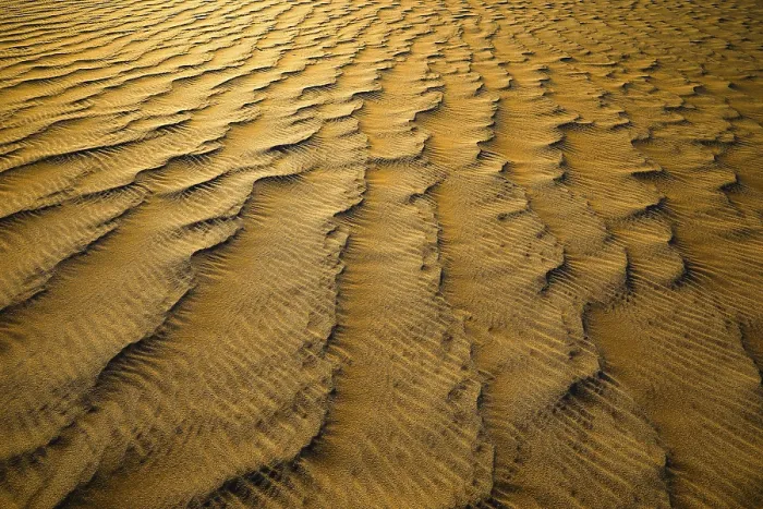 Gerahmter Druck : Windgestalteter Sand. Gerahmter Druck : Windgestalteter Sand.