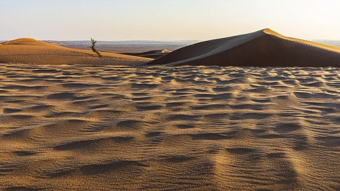 Gerahmter Druck : Sandstruktur, die durch den Wind gebildet wird. Gerahmter Druck : Sandstruktur, die durch den Wind gebildet wird.