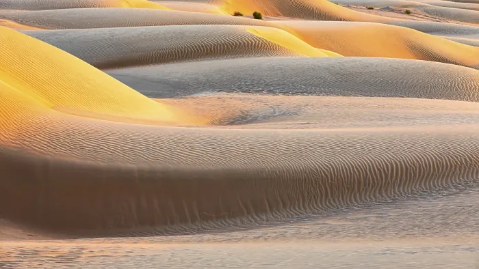 Gerahmter Druck : Sandstruktur, die vom Wind gebildet wird. Gerahmter Druck : Sandstruktur, die vom Wind gebildet wird.