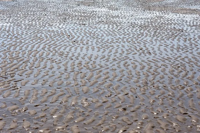 Gerahmter Druck : Sandstruktur bei Niedrigwasser, Atlantikküste. Gerahmter Druck : Sandstruktur bei Niedrigwasser, Atlantikküste.