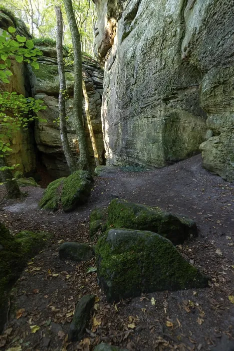 Gerahmter Druck : Sandsteinklippen, Mullerthal Trail