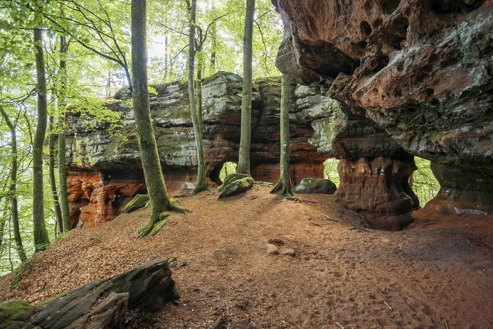Gerahmter Druck : Sandsteinfelsen, alter Burgfels Gerahmter Druck : Sandsteinfelsen, alter Burgfels