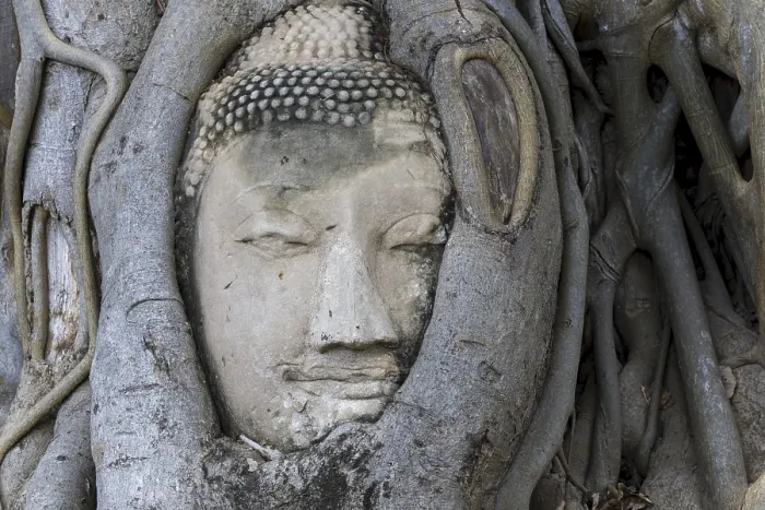 Gerahmter Druck : Sandsteinkopf einer Buddha-Statue. Gerahmter Druck : Sandsteinkopf einer Buddha-Statue.