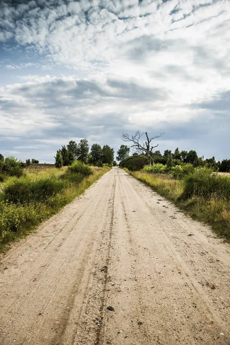 Gerahmter Druck : Sandstraße, Juniper Heath Gerahmter Druck : Sandstraße, Juniper Heath