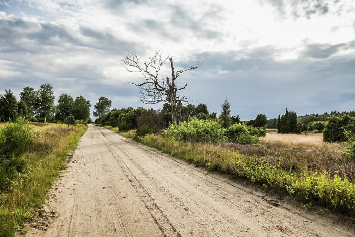 Gerahmter Druck : Sandstraße, Juniper Heath Gerahmter Druck : Sandstraße, Juniper Heath