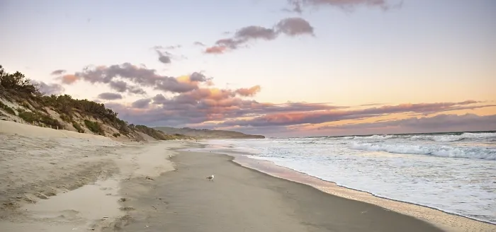 Gerahmter Druck : Sandstrand am Sonnenuntergang, Saint Clair Beach Gerahmter Druck : Sandstrand am Sonnenuntergang, Saint Clair Beach