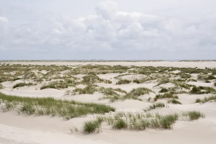 Gerahmter Druck : Leere Sandstrand, Dünenlandschaft. Gerahmter Druck : Leere Sandstrand, Dünenlandschaft.