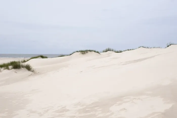 Gerahmter Druck : Leere Sandstrand, Dünenlandschaft. Gerahmter Druck : Leere Sandstrand, Dünenlandschaft.
