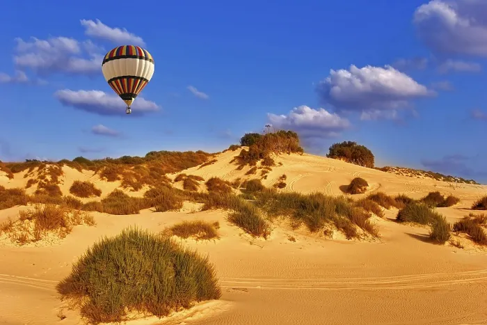 Gerahmter Druck : Die sandigen Dünen wurden von Büschen bedeckt. Gerahmter Druck : Die sandigen Dünen wurden von Büschen bedeckt.