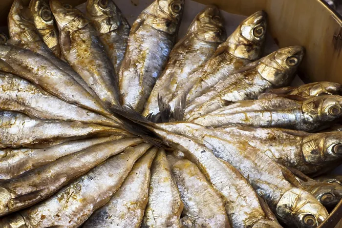 Gerahmter Druck : Sardines Gerahmter Druck : Sardines