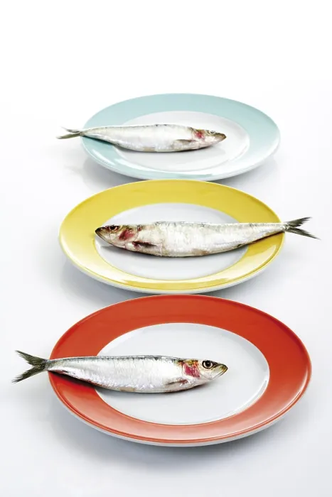 Gerahmter Druck : Sardinen auf Tellern. Gerahmter Druck : Sardinen auf Tellern.