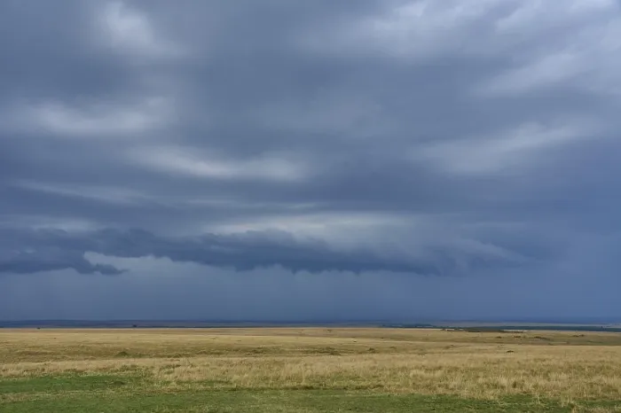 Gerahmter Druck : Savannenlandschaft mit Gewitterwolken. Gerahmter Druck : Savannenlandschaft mit Gewitterwolken.