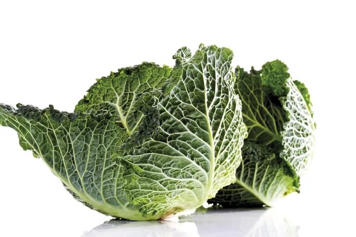 Gerahmter Druck : Savoy-Kohl Gerahmter Druck : Savoy-Kohl