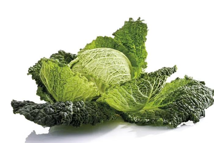 Gerahmter Druck : Savoy-Kohl Gerahmter Druck : Savoy-Kohl