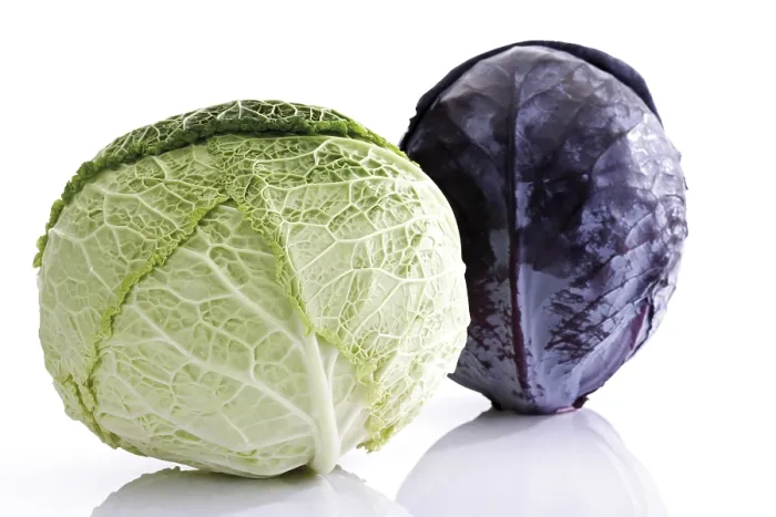Gerahmter Druck : Savoy-Kohl und Rotkohl. Gerahmter Druck : Savoy-Kohl und Rotkohl.