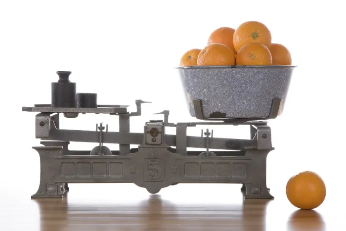 Gerahmter Druck : Scales Gerahmter Druck : Scales