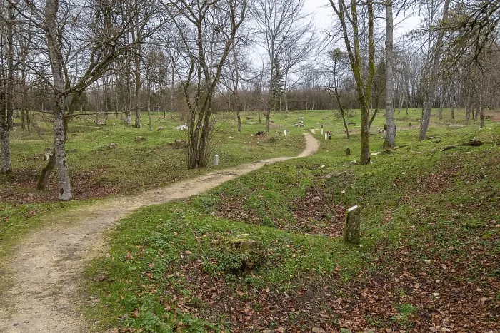 Gerahmter Druck : Landschaft um Fleury-devant-Douaumont Gerahmter Druck : Landschaft um Fleury-devant-Douaumont