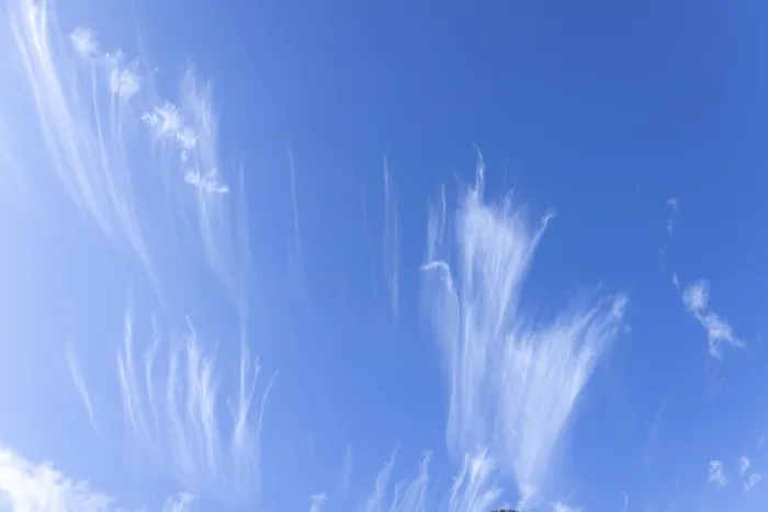 Gerahmter Druck : Bildhafte dramatische Sommerwolken. Wolkenbild eines hellblauen Himmels. Gerahmter Druck : Bildhafte dramatische Sommerwolken. Wolkenbild eines hellblauen Himmels.