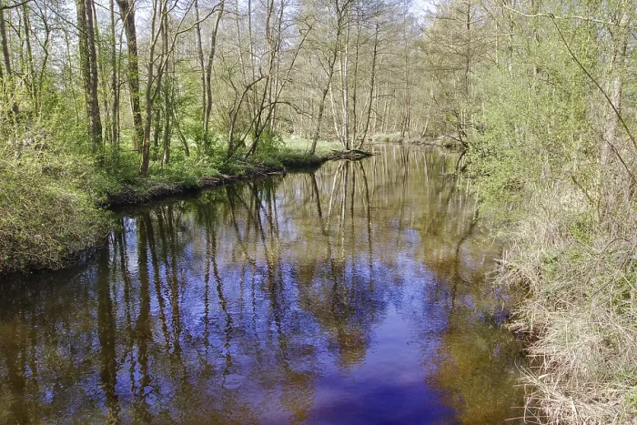 Gerahmter Druck : Die Schwalm, ein ruhiger Fluss fließt durch dichten Wald. Gerahmter Druck : Die Schwalm, ein ruhiger Fluss fließt durch dichten Wald.