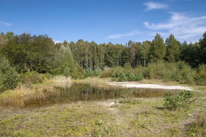 Gerahmter Druck : Am Schwertstein, Greiz, Muna, Thüringen Gerahmter Druck : Am Schwertstein, Greiz, Muna, Thüringen