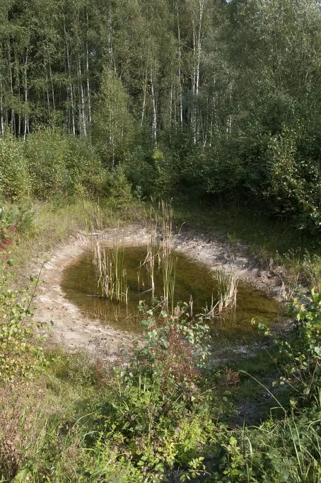 Gerahmter Druck : Am Schwertstein, Greiz, Muna, Thüringen. Gerahmter Druck : Am Schwertstein, Greiz, Muna, Thüringen.