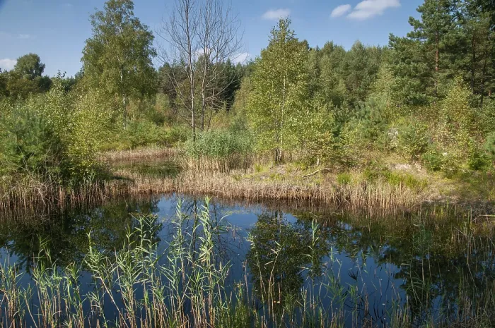 Gerahmter Druck : Am Schwertstein, Greiz, Muna, Thüringen.