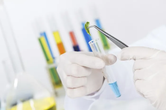 Gerahmter Druck : Wissenschaftler fügt Probe in Probierrohr ein. Gerahmter Druck : Wissenschaftler fügt Probe in Probierrohr ein.